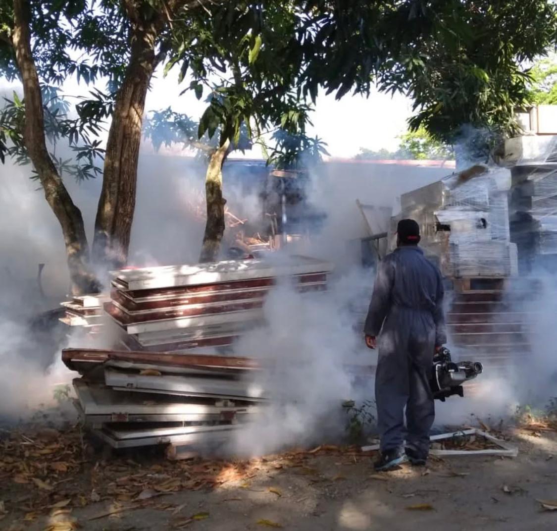 Servicio de Fumigacion