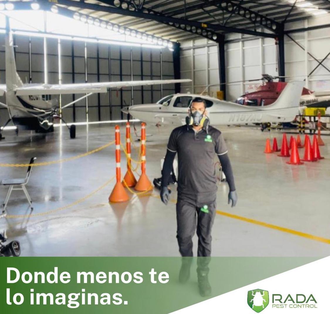 Servicio de Fumigacion